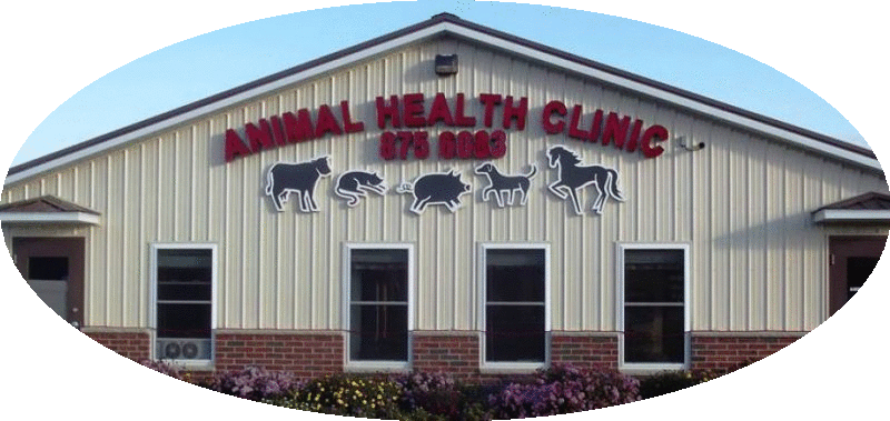 Animal Health clinic